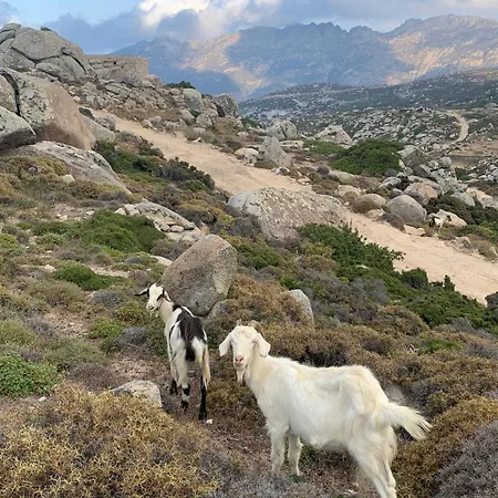Feriehus Galatea House Katoi With Patio Kato Klisma